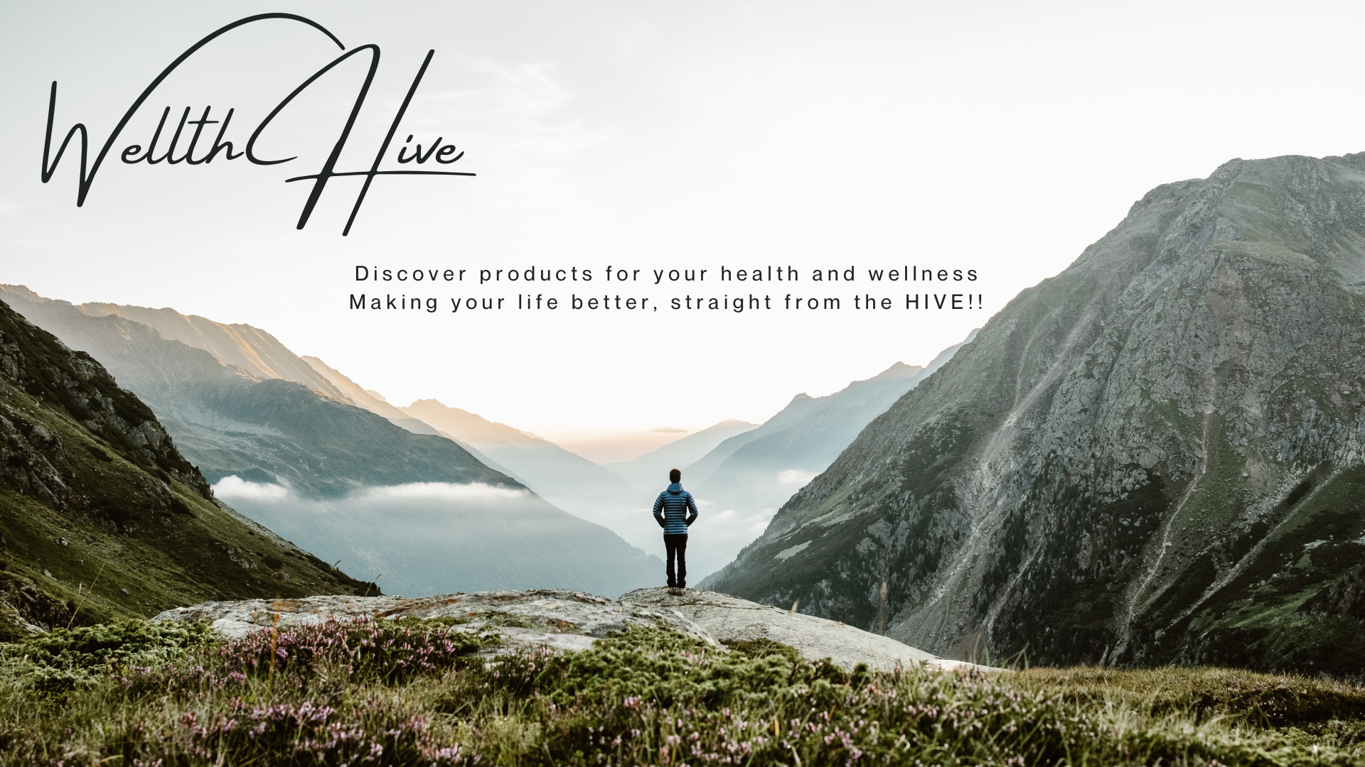 Wellth Hive Logo